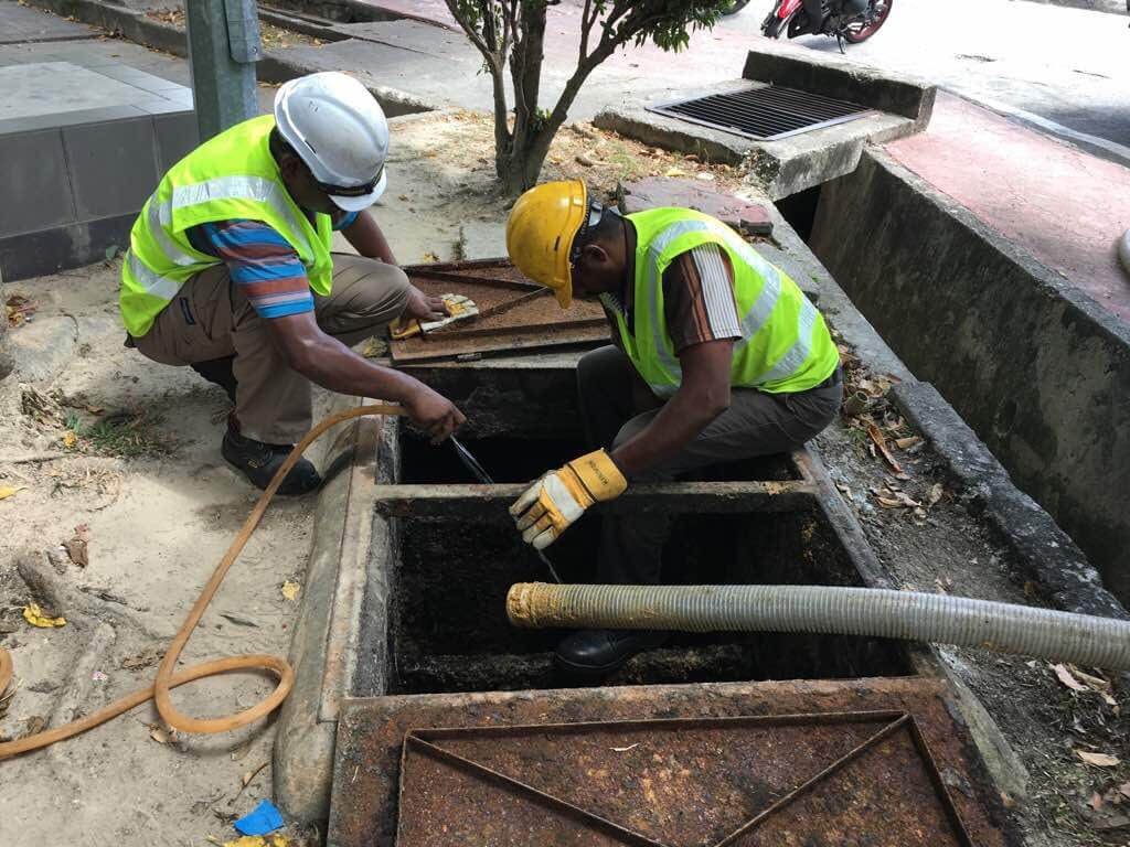 Manhole Pest service(General pest control)